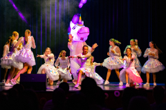 2023-06-The-Candy-Company-Sjappoo-show-108